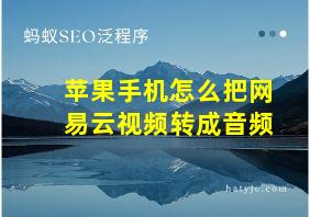 苹果手机怎么把网易云视频转成音频