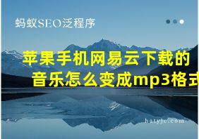 苹果手机网易云下载的音乐怎么变成mp3格式