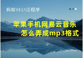 苹果手机网易云音乐怎么弄成mp3格式