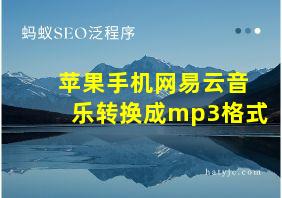 苹果手机网易云音乐转换成mp3格式