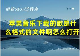 苹果音乐下载的歌是什么格式的文件啊怎么打开