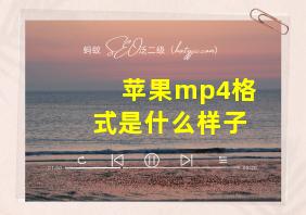 苹果mp4格式是什么样子