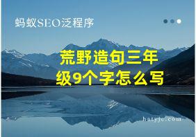 荒野造句三年级9个字怎么写