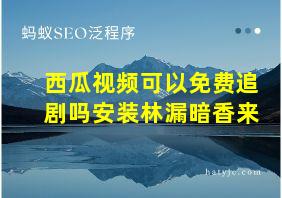 西瓜视频可以免费追剧吗安装林漏暗香来