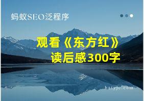 观看《东方红》读后感300字