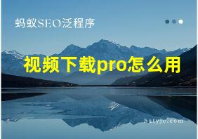 视频下载pro怎么用