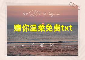 赠你温柔免费txt