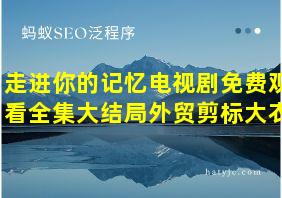 走进你的记忆电视剧免费观看全集大结局外贸剪标大衣