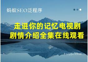 走进你的记忆电视剧剧情介绍全集在线观看