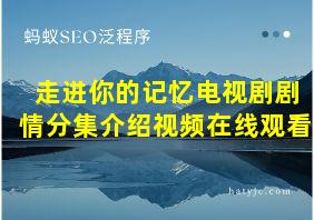 走进你的记忆电视剧剧情分集介绍视频在线观看