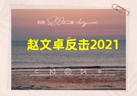 赵文卓反击2021