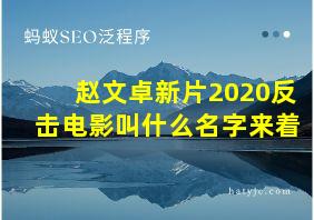 赵文卓新片2020反击电影叫什么名字来着