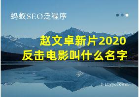 赵文卓新片2020反击电影叫什么名字