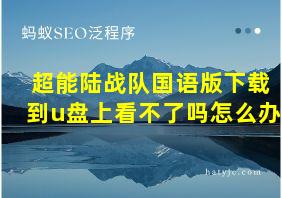 超能陆战队国语版下载到u盘上看不了吗怎么办