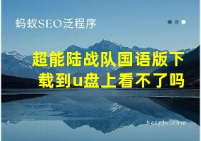 超能陆战队国语版下载到u盘上看不了吗