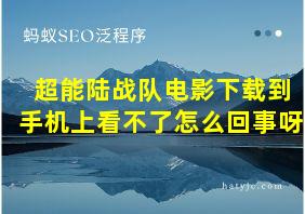 超能陆战队电影下载到手机上看不了怎么回事呀