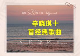 辛晓琪十首经典歌曲