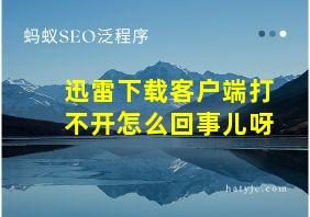 迅雷下载客户端打不开怎么回事儿呀