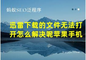 迅雷下载的文件无法打开怎么解决呢苹果手机