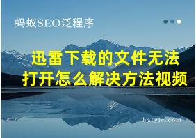 迅雷下载的文件无法打开怎么解决方法视频