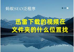 迅雷下载的视频在文件夹的什么位置找