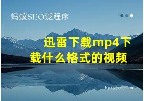 迅雷下载mp4下载什么格式的视频