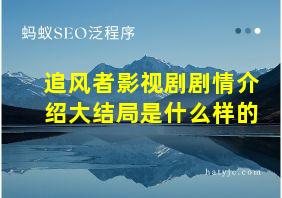 追风者影视剧剧情介绍大结局是什么样的