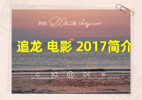 追龙 电影 2017简介