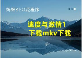 速度与激情1下载mkv下载