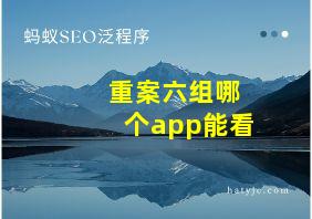 重案六组哪个app能看