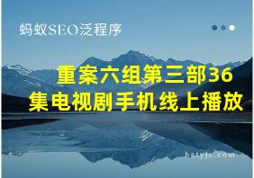 重案六组第三部36集电视剧手机线上播放