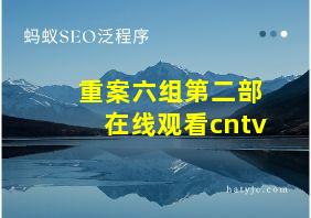 重案六组第二部在线观看cntv