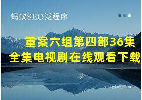 重案六组第四部36集全集电视剧在线观看下载