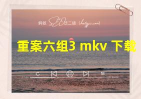 重案六组3 mkv 下载