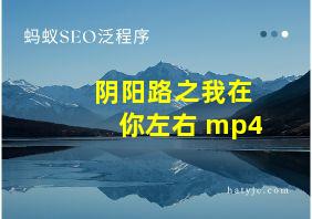 阴阳路之我在你左右 mp4