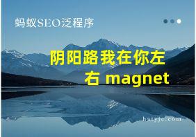 阴阳路我在你左右 magnet