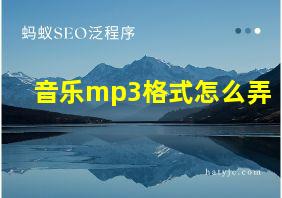 音乐mp3格式怎么弄