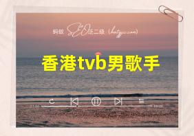 香港tvb男歌手