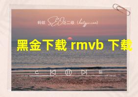 黑金下载 rmvb 下载