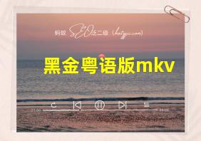 黑金粤语版mkv