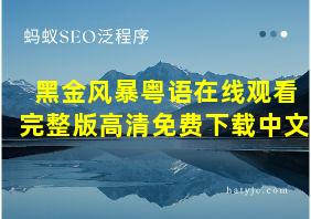 黑金风暴粤语在线观看完整版高清免费下载中文