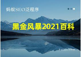 黑金风暴2021百科