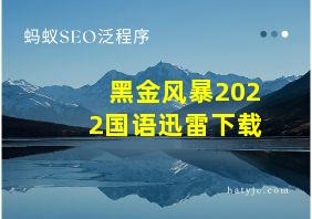 黑金风暴2022国语迅雷下载