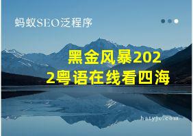 黑金风暴2022粤语在线看四海