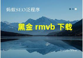 黑金 rmvb 下载