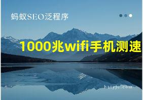 1000兆wifi手机测速