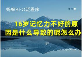 16岁记忆力不好的原因是什么导致的呢怎么办