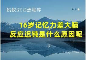 16岁记忆力差大脑反应迟钝是什么原因呢