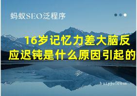 16岁记忆力差大脑反应迟钝是什么原因引起的