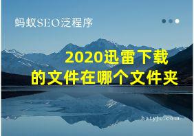 2020迅雷下载的文件在哪个文件夹